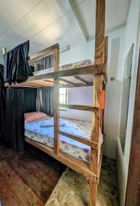 Screaming Gecko Hostel