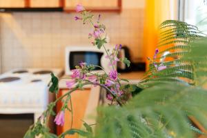 Beachfront accommodation in Corfu