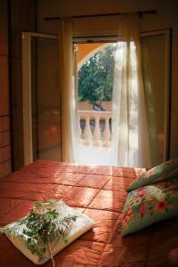 Beachfront accommodation in Corfu