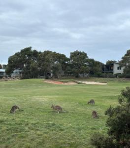 Shore Place 3 br Serenity - Golf Course Views - Free parking