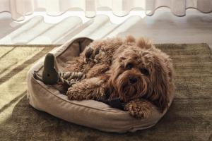 Apartment B6 "großer Balkon, Sauna & Haffblick" im "Pine Hill Resort"