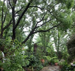 Ananda Cottage - 3hvězdičkové hotely ve městě Albury