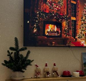 Tropical land little Hanoi homestay