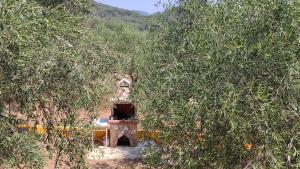 Summer accommodation in Corfu