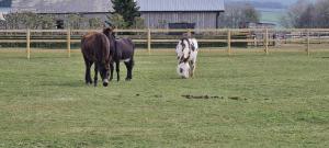 Greystones nawab 3 units A B C sleeps upto 14 ,15 buxton in peak park