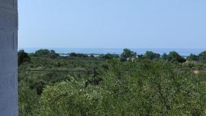 Sea view accommodation close to Halikounas beach