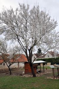 Fermes La ferme de flo' : photos des chambres
