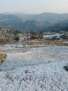 Mountain Retreat Dhanachuli