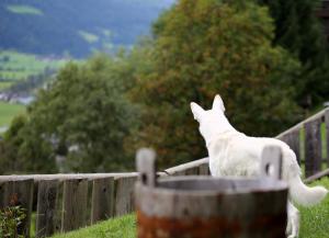 Panorama Ferienhaus Ematberg mit Bergblick und Sauna