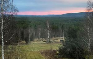 Beautiful Home In Orsa With Wifi