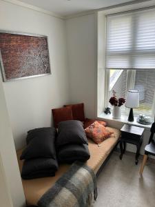Downtown free parking cozy apartment