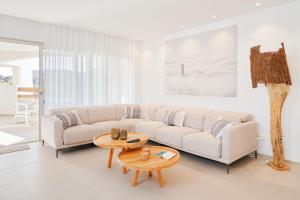 Exotic Garden Palm Mar