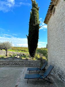 Maisons de vacances Domaine Coeur des Vignes : photos des chambres