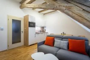 Simba Boží Dar by Mountain ways - Klínovec