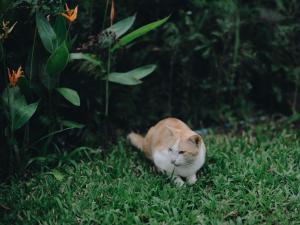 เฮือนริมน่าน Huen Rim Nan