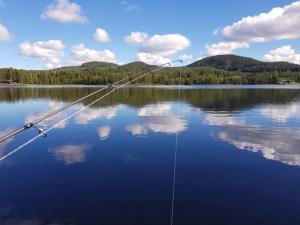 Awesome Home In Stugun, Ragunda With 1 Bedrooms And Wifi