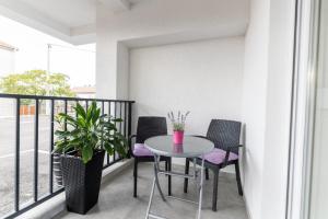 Sunny Bulevard Suite