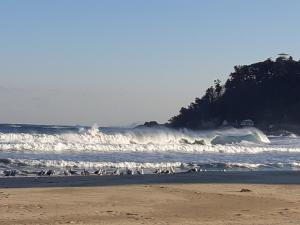 Yangyang Ocean sketch 24k