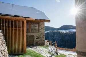 OBERBUCHFELDER historic farmhouse - Waidbruch
