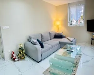 Spacieux, lumineux et confortable - Morschwiller