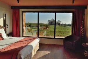 Le Royaume des Lions