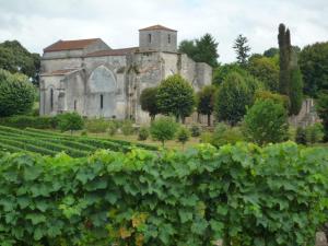 Fleurs de vigne, gîte charentais au grand coeur