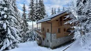 Chalet à Courchevel La Tania - 拉塔尼亚