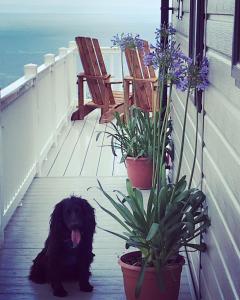 SeaView Sleeps 4to6 Pet friendly Parking