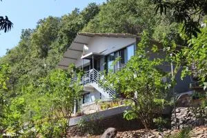 Forest Fairy - Mulshi