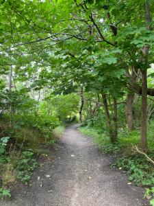 In The Nice Gilleleje Area, Only Approx, 700 Meters From The Water,