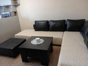 Apartment Andri