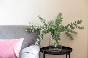 Modern Bayswater Flat