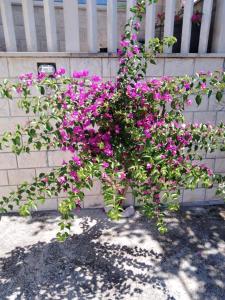 Apartment in Jelsa with terrace, air conditioning, Wi-Fi 4440-3