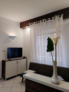 Apartment Bruna with terrace and spectacular sea view 