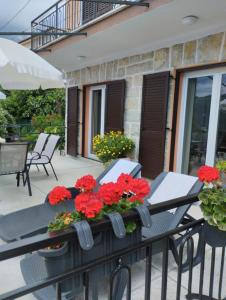 Apartment Bruna with terrace and spectacular sea view