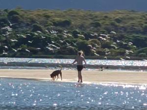 Scenic Bliss Holiday Home