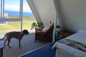Scenic Bliss Holiday Home