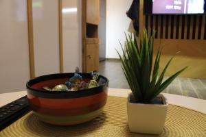 studio apartman Najdanović