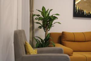 studio apartman Najdanović