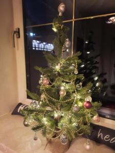 Ausseerland Apartments - Relax, Ski, Hike and Bike, Garden, Parking, BBQ, Near Hallstatt, Loser, Tauplitz and Krippenstein, Free Wi-Fi and Netflix