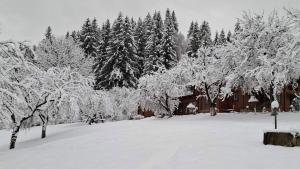 Райський куточок