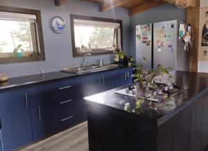 Casa en Pucón - Palguin