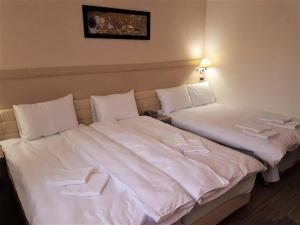 Angella Konaci Kopaonik