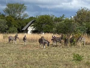 Zebula Golf and Wildlife Estate - Nagapie 12 Pax- Moi Signature Luxury villa