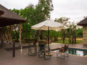 Mokaikai - The Great Buffalo