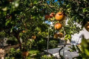 Avouris Studios - Kipseli