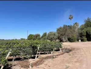 Casa de campo Piperbo