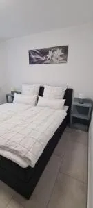 Weinstadt Weinberge - Remshalden