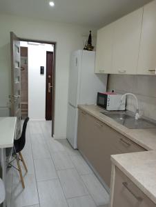 Apartament Ultimul Leu
