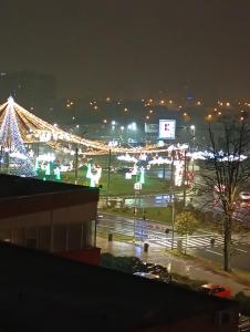 Apartament Ultimul Leu